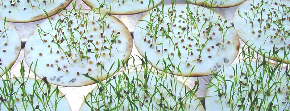 ناشناخته های بیوتکنولوژی را با ما تجربه کنید